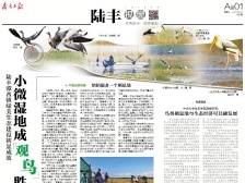 小微湿地成观鸟胜地 | 速览《南方日报·陆丰视窗》第46期