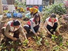 绘就绿美社区新画卷，韶关武江按下人居环境“美颜键”