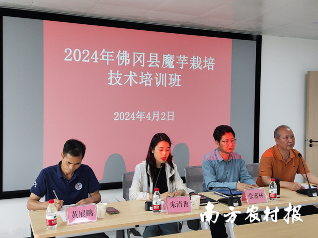 佛冈县农业农村局副局长朱清香作动员讲话