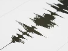 台湾花莲县海域发生7.3级地震，湛江有震感……