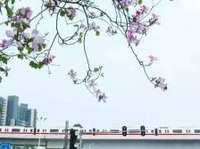 你感觉到了吗？台湾花莲海域地震，部分广州居民有震感