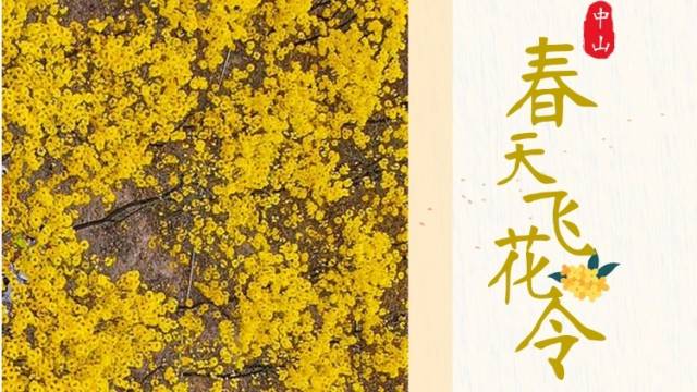 在一场春天的“飞花令”中，邂逅诗意中山