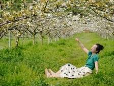 图集丨气清景明 绿意盎然