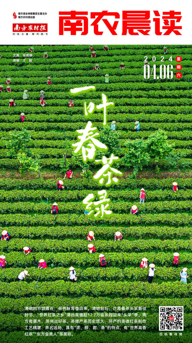 南方农村报 樊静东 拍摄