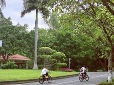 “公园20分钟效应”火了！清明假期，来番禺试试吧～