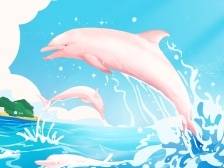 “海上大熊猫”为何偏爱广东这里 | 新鲜“时”景画