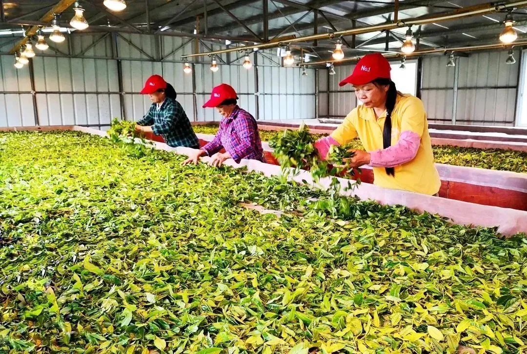 徐卫良 摄 徐卫良 摄