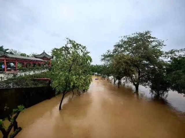 7日8时，英德市城区北江西岸水浸情况。