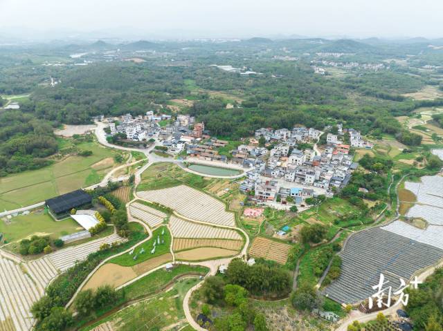 问题村蝶变示范村走读广州从化西塘村