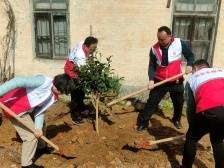 南雄：不负春光添新绿，共建绿美政法林