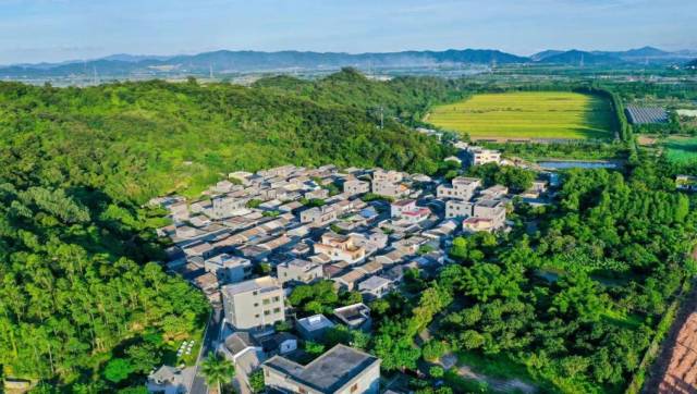 珠海市斗门区人民政府网站