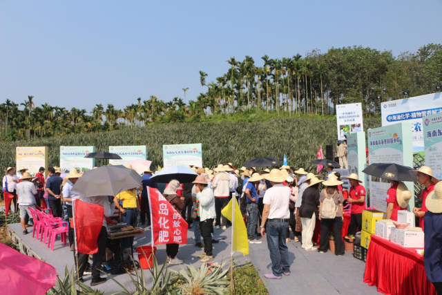 中海油化学就与海南大学合作共建的科技小院展示。