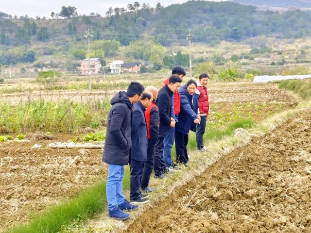 在乐昌黄埔镇指导冬季闲田的深翻越冬。