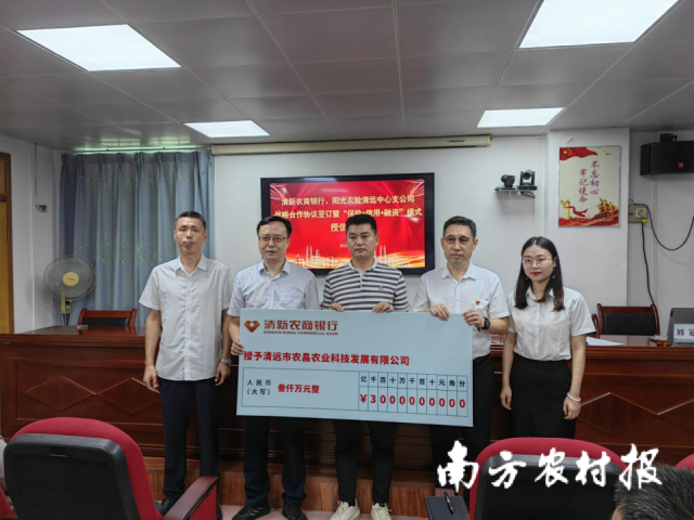 阳光农险清远中心支公司与清新农商银行推出“保险+信用+融资”组合模式，为清远市农昌农业科技发展有限公司提供3000万元信贷资金。