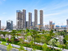 南方观察｜发展新质生产力，东莞为何有底气？