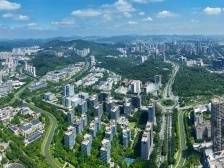 广州黄埔：链式招商，产业成势