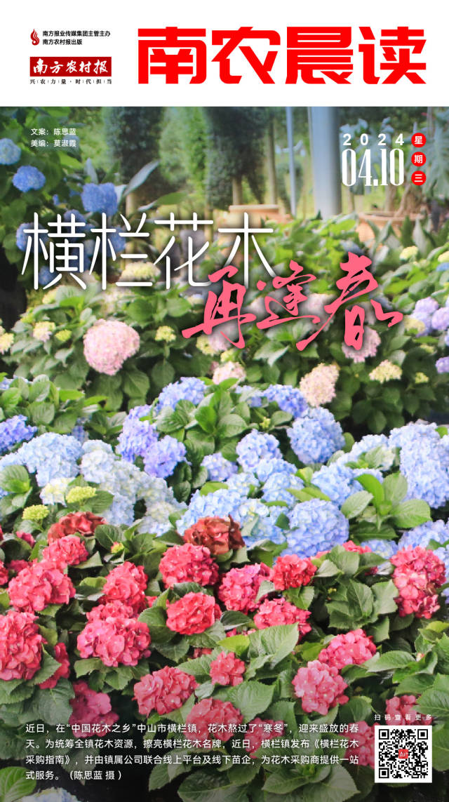 年报业绩预告：部分个股净利有望三连增