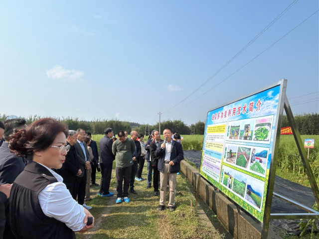 “油菜多功能利用”種植示范現(xiàn)場