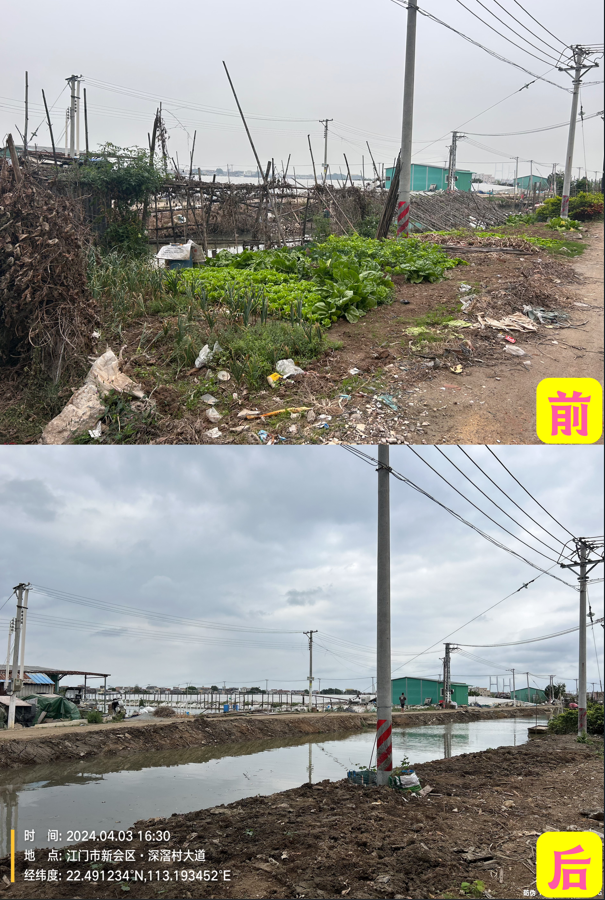 新会区大鳌镇开展中阳高速沿线环境整治提升行动前后景观风貌对比。