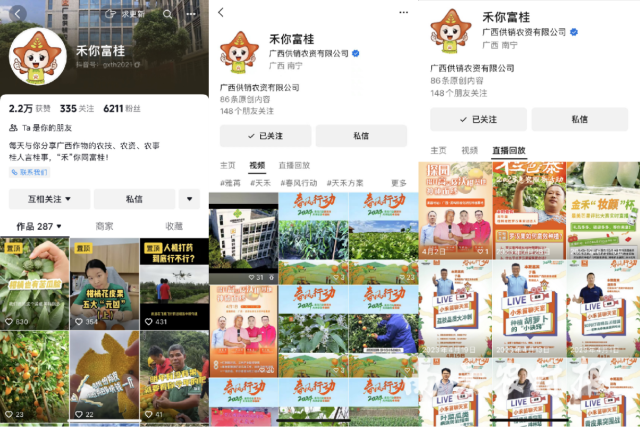 广西供销线上新媒体矩阵 广西供销线上新媒体矩阵