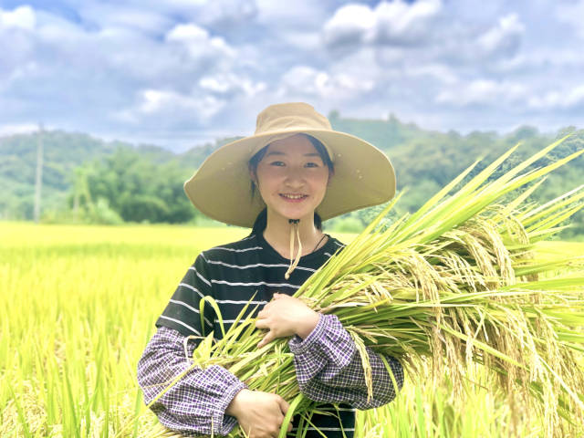 圖源 肇慶頭條