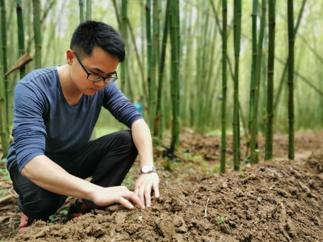 陳嘉龍在種植基地內(nèi)查看竹蓀生長情況,。圖源 封開發(fā)布