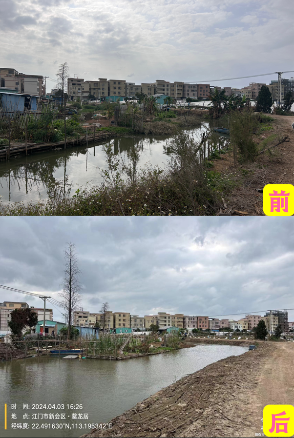 新会区大鳌镇开展中阳高速沿线环境整治提升行动前后景观风貌对比。