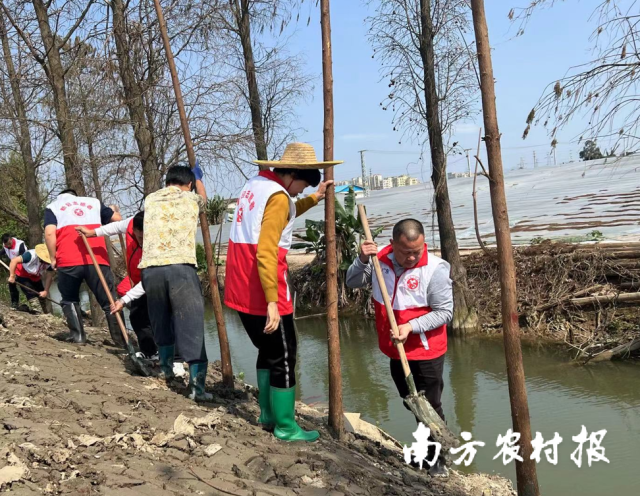 新会区大鳌镇开展中阳高速沿线环境整治提升行动。 新会区大鳌镇开展中阳高速沿线环境整治提升行动。
