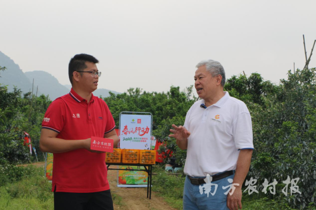 前段时间在武鸣开展的“春风行动2024--千村万户农技直通车”惠农直播活动 前段时间在武鸣开展的“春风行动2024--千村万户农技直通车”惠农直播活动