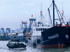 茂名滨海新区：农渔旅互联共生 打造“百千万工程”典型示范