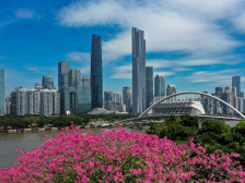 2024全球独角兽榜发布：广州24家，与以色列、加拿大数量相当