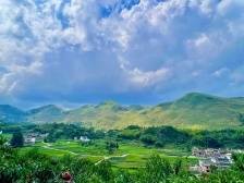 绿美大桥：建设主题林 植出新希望