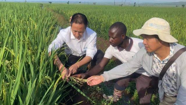 南方农村报 李嘉镓 制图