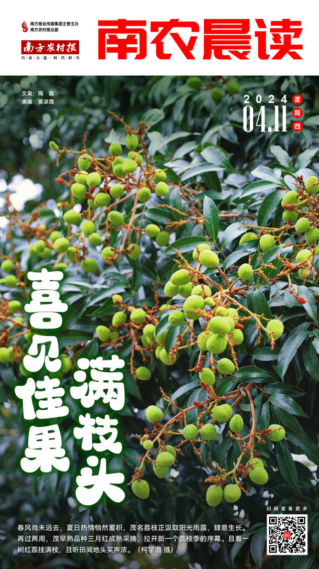 南方农村报 李嘉镓 制图