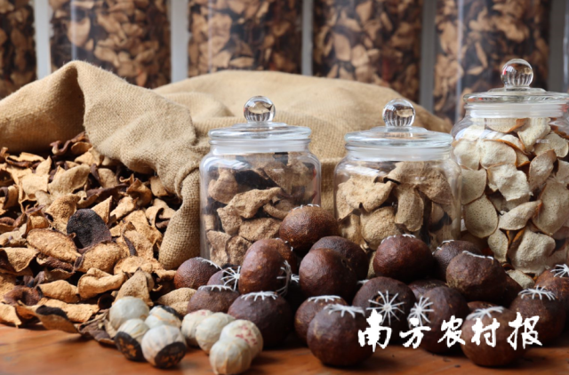 新会陈皮、新会柑茶。