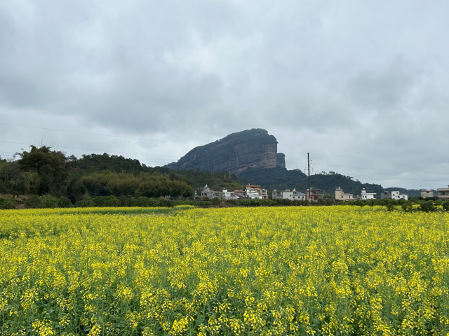 南方农村报 李嘉镓 制图