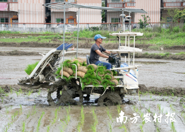 2024年廣州市供銷合作總社農(nóng)業(yè)社會(huì)化服務(wù)社村合作推介會(huì)現(xiàn)場(chǎng)展示農(nóng)田機(jī)械化播種。