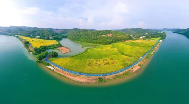 南方农村报 李嘉镓 制图