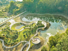 南沙建设中心党建品牌获佳绩