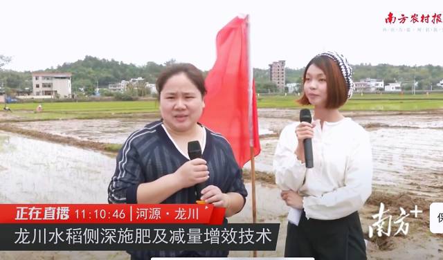 龙川县瑞农农业科技有限公司负责人 杨正涛（左）