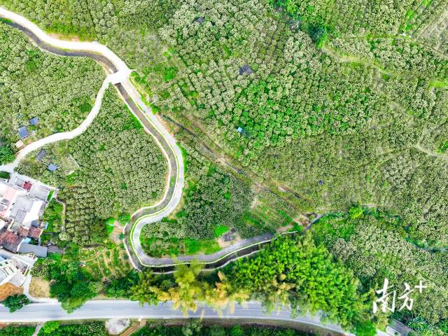 绿美广东，繁花盛放。