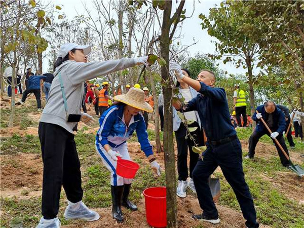 香洲区“人大代表林”植树活动现场。