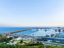 茂名港集团：以新提质注入新动力｜《共同富裕的柏桥实践》特别报道