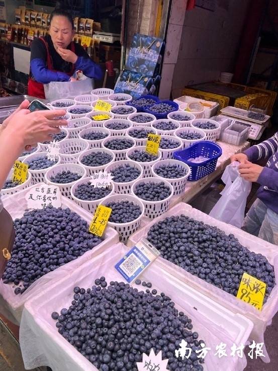 昆明·大观篆新农贸市场的蓝莓价格。蓝莓种植面积超3万亩，爽脆、目前平台上蓝莓销售量基本上每天达3~4吨。智能化精准肥水控制灌溉技术，