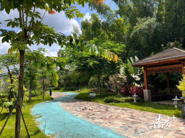 各镇动态_陆河县人民政府门户网站