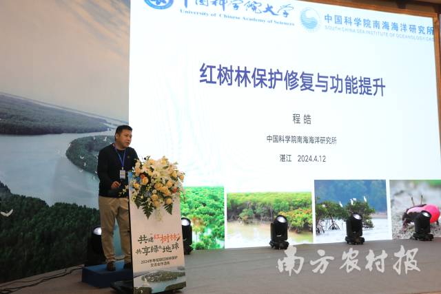 专家分享红树林保护修复与功能提升的意见与建议