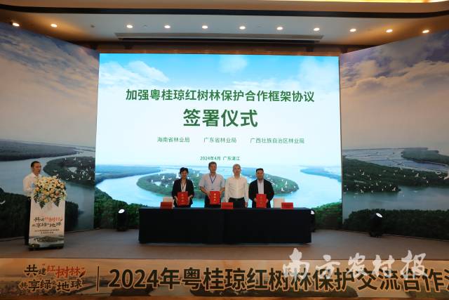 活动签署粤桂琼红树林保护合作框架协议