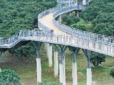 走进春天里的茂名柏桥 | 一文速览《南方日报·高州视窗》第142期