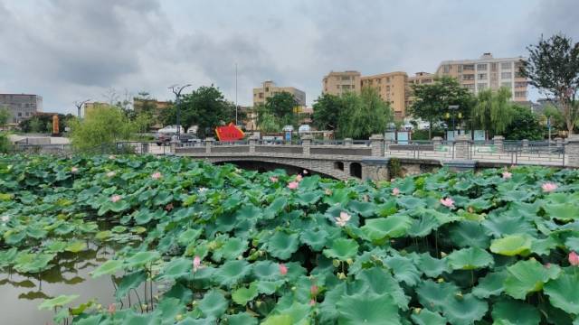 “濂溪文化”生机勃勃——走读清远佛冈陂角村