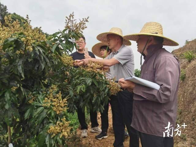 南方农村报 李嘉镓 制图